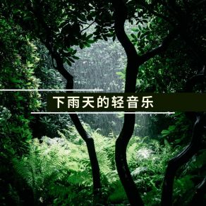 Download track 下雨天的轻音乐 下雨天