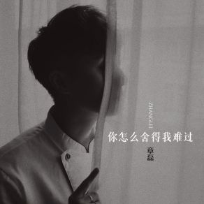 Download track 你这么舍得我难过 [伴奏] Zhang Lei