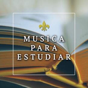 Download track Relaxation Therapy Musica Para EstudiarYoga Trainer