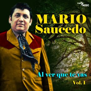 Download track Al Ver Que Te Vas Mario Saucedo