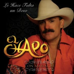 Download track Maldito Dolor El Chapo De Sinaloa