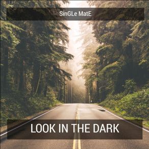 Download track Look In The Dark (Intro Scene) SinGLe MatE