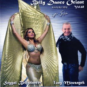 Download track Habib El Rouh Seyyal Bellydancer