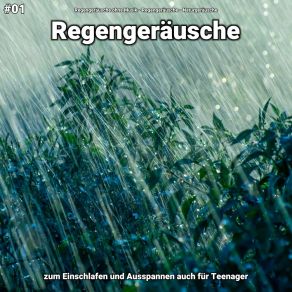 Download track Regengeräusche, Pt. 64 Naturgeräusche