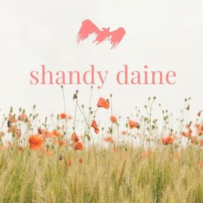 Download track Fading In Shandy Daine