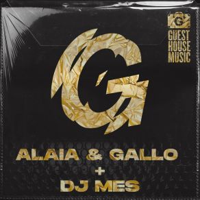 Download track Who Knows (DJ Mes Town Bizz Mix) Alaia