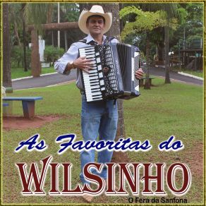 Download track De São Paulo À Cuiabá Wilsinho O Fera Da Sanfona