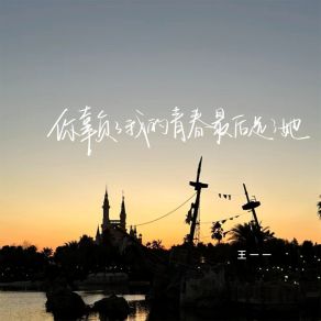 Download track 你辜负了我的青春最后选了她 (伴奏) 王一一