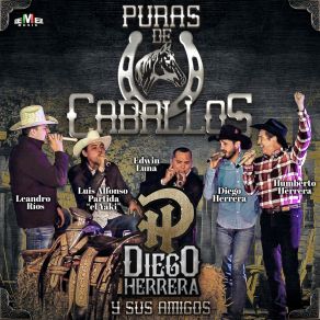 Download track Potro Lobo Gateado Diego HerreraLuis Alfonso Partida El Yaki', Leandro Rios