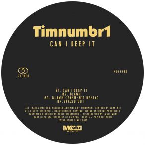 Download track Blawh (Samm-N11 Remix) Timnumbr1Samm-N11