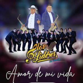 Download track Buscando Tus Besos (En Vivo) Los Lideres