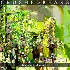 Download track Breakdown (Radio Edit) Crushed Beaks