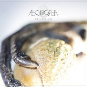 Download track Forage Æquorea