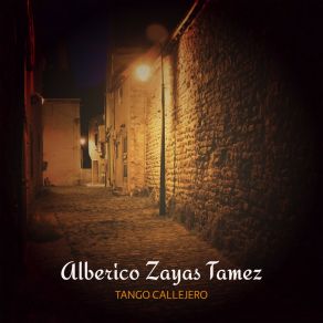 Download track Mi Mujer Encantadora Alberico Zayas Tamez