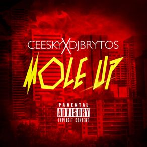 Download track Mole Up Ceesky