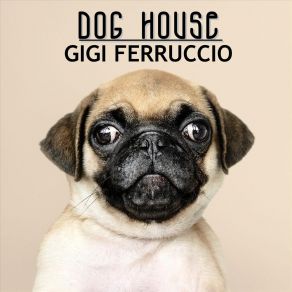 Download track Break It Down Gigi Ferruccio