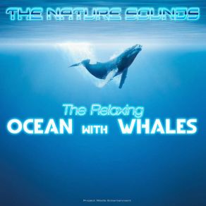 Download track Relaxing Ocean With Whales-2 Nature Sounds