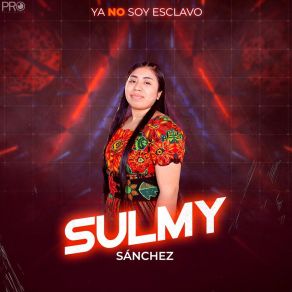 Download track No Te Voy Adejar Sulmy Sánchez