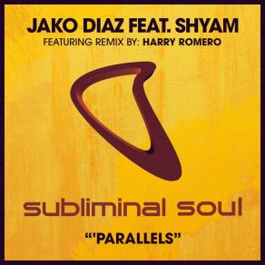 Download track Parallels Shyam