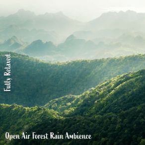 Download track Open Air Forest Rain Ambience, Pt. 3 Steve Brassel