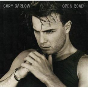 Download track I Fall So Deep Gary Barlow