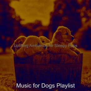 Download track Warm Ambience For Well Behaved Dogs Music For Dogs Playlist