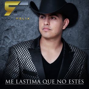 Download track Me Lastima Que No Estes Rene Felix