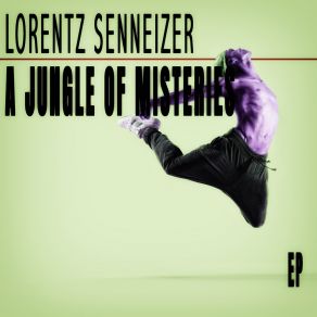 Download track Chewbecca (Fancy Dress Mix) Lorentz Senneizer