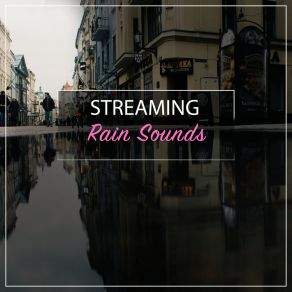 Download track Night Showers Nature's Symphony