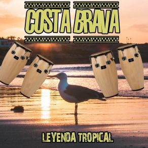 Download track Don Chon Costa Brava