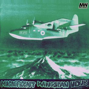 Download track Vdub Magnificent Wingspan