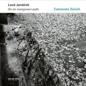 Download track IX. Je L’entends Qui Sanglote Camerata Zürich, Igor Karsko, Maia Brami