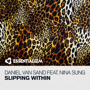 Download track Slipping Within (Extended Mix) Daniel Van Sand, Nina Sung