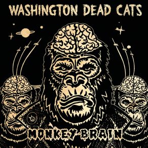 Download track Red Lights, Blue Lights Washington Dead Cats