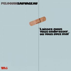 Download track Les Grands Silencieux Péloquin - Sauvageau