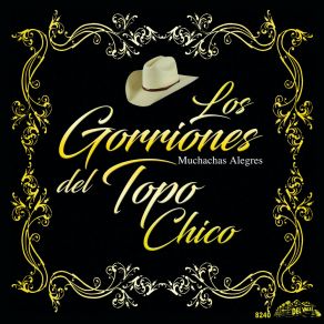 Download track Las Tres Retamas (Instrumental) Los Gorriones Del Topo ChicoΟΡΓΑΝΙΚΟ