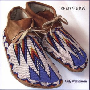 Download track Moccasin Dance: Gratitude & Love Andy Wasserman