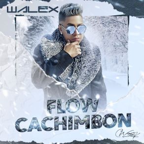 Download track Bicha Walex Cotete