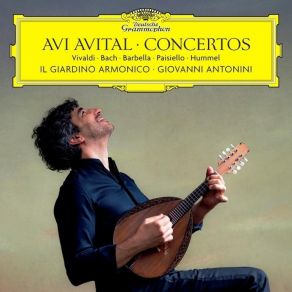 Download track 01 - I. Allegro Il Giardino Armonico, Avi Avital