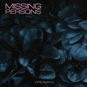 Download track Images Of Heaven Missing Persons