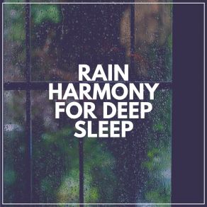 Download track 3Rd Street Rain For Deep SleepingNature Soundscape