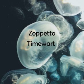 Download track Mones Zoppetto