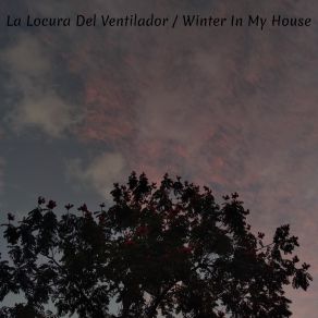 Download track Buscándote La Locura Del Ventilador