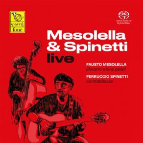 Download track The Pink Panther Ferruccio Spinetti, Fausto Mesolella