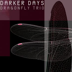 Download track Darker Days (Instrumental) Dragonfly TrioΟΡΓΑΝΙΚΟ