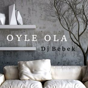 Download track Oyle Ola (Original Mix) Dj Bebek