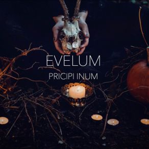 Download track Asasi Evelum