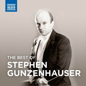 Download track Symphony No. 8 In G Major, Op. 88, B. 163 III. Allegretto Grazioso - Molto Vivace Stephen Gunzenhauser