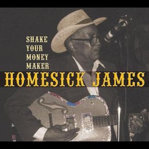 Download track Bottle Up And Go (Bonustrack) Homesick James