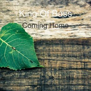 Download track Love In Pieces (Decaded To Jesus Christ) King Of Bass